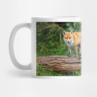 Fox Standing on Log Mug
